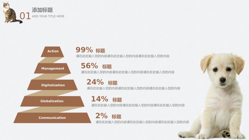 棕色萌宠猫狗工作总结教师公开课宠物年终5