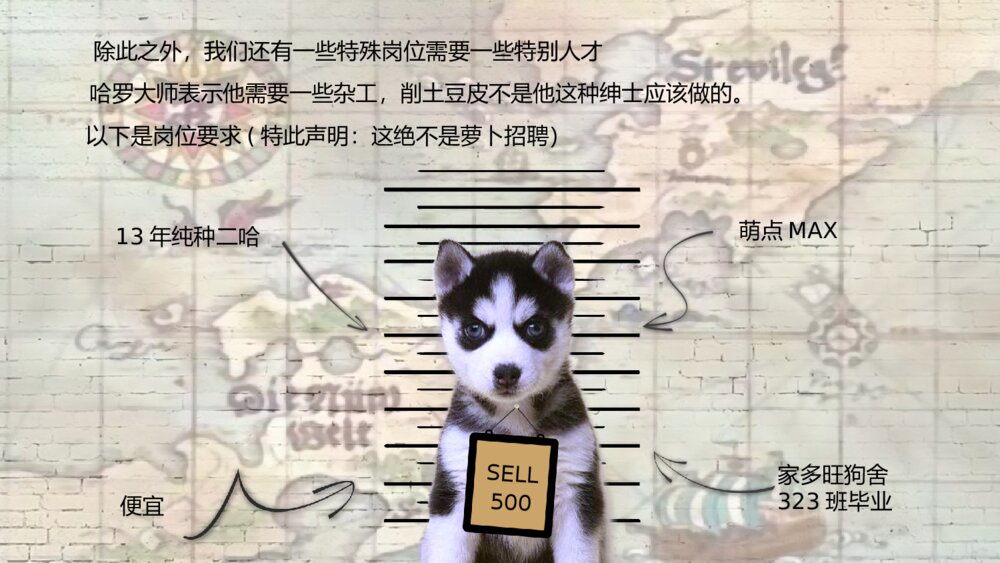 个性宠物通缉令海报PPT模板5