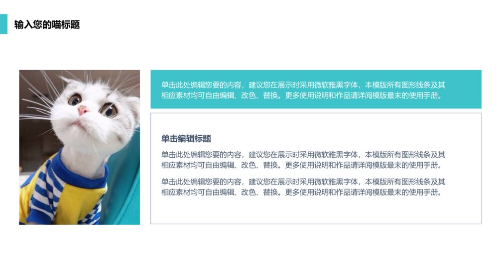 可爱喵星人宠物类ppt模板呆萌实用型10