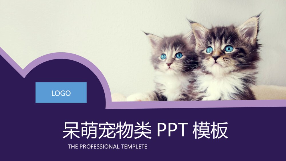 呆萌宠物类宠物店宠物医院行业专业PPT模板1