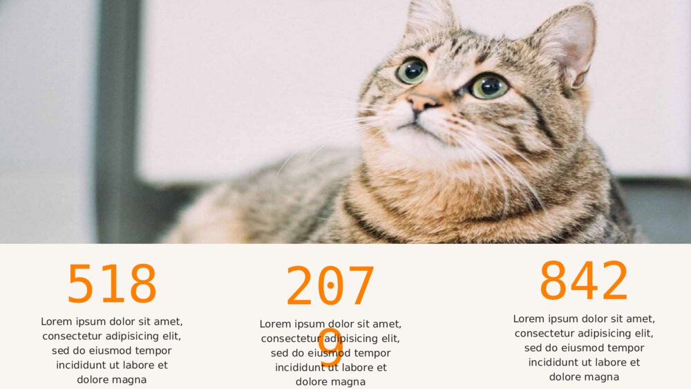 可爱猫咪宠物卡通趣味ppt模板10