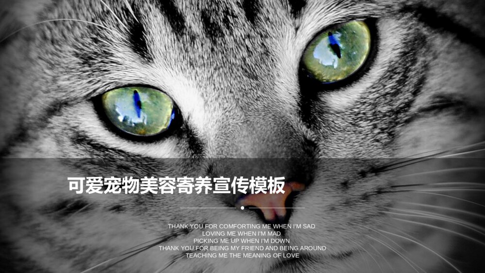 可爱宠物美容寄养宣传ppt模板1