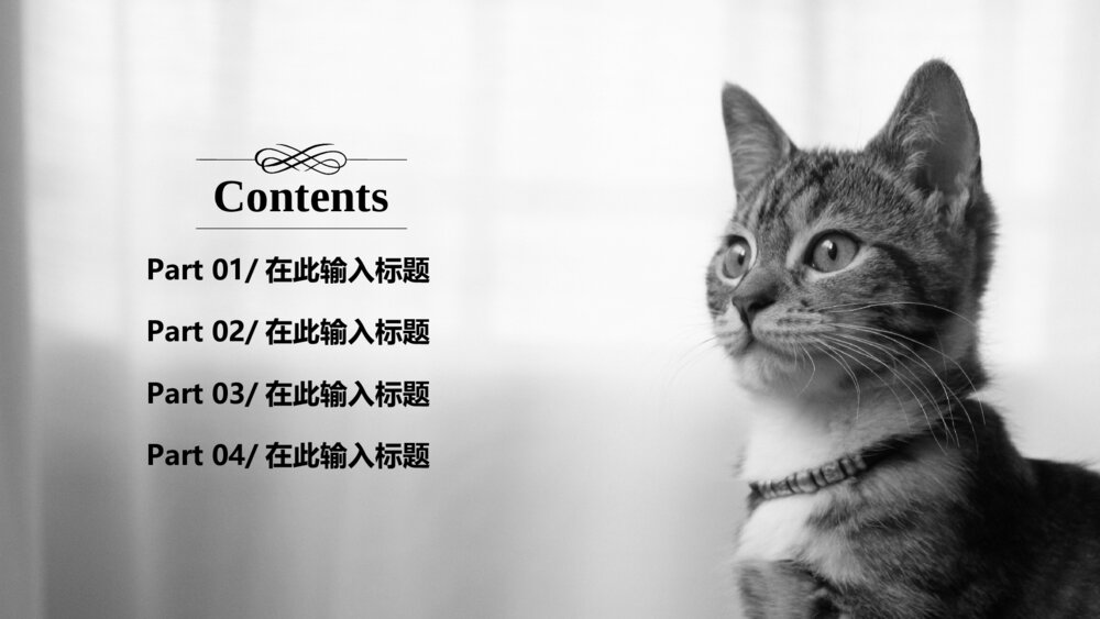 可爱宠物美容寄养宣传ppt模板2