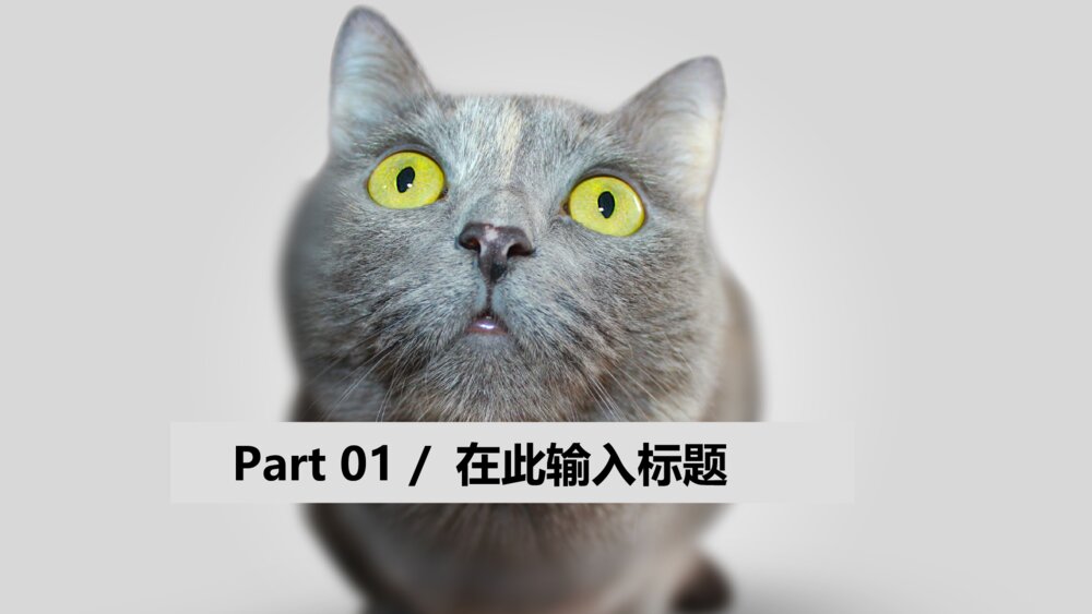 可爱宠物美容寄养宣传ppt模板3