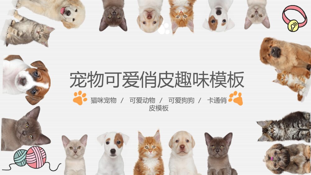 宠物可爱趣味俏皮PPT模板1