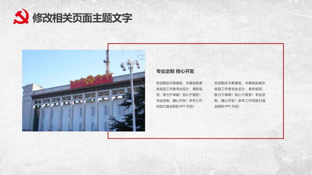 党政党建党员学习19大党支部政府报告PPT模板9
