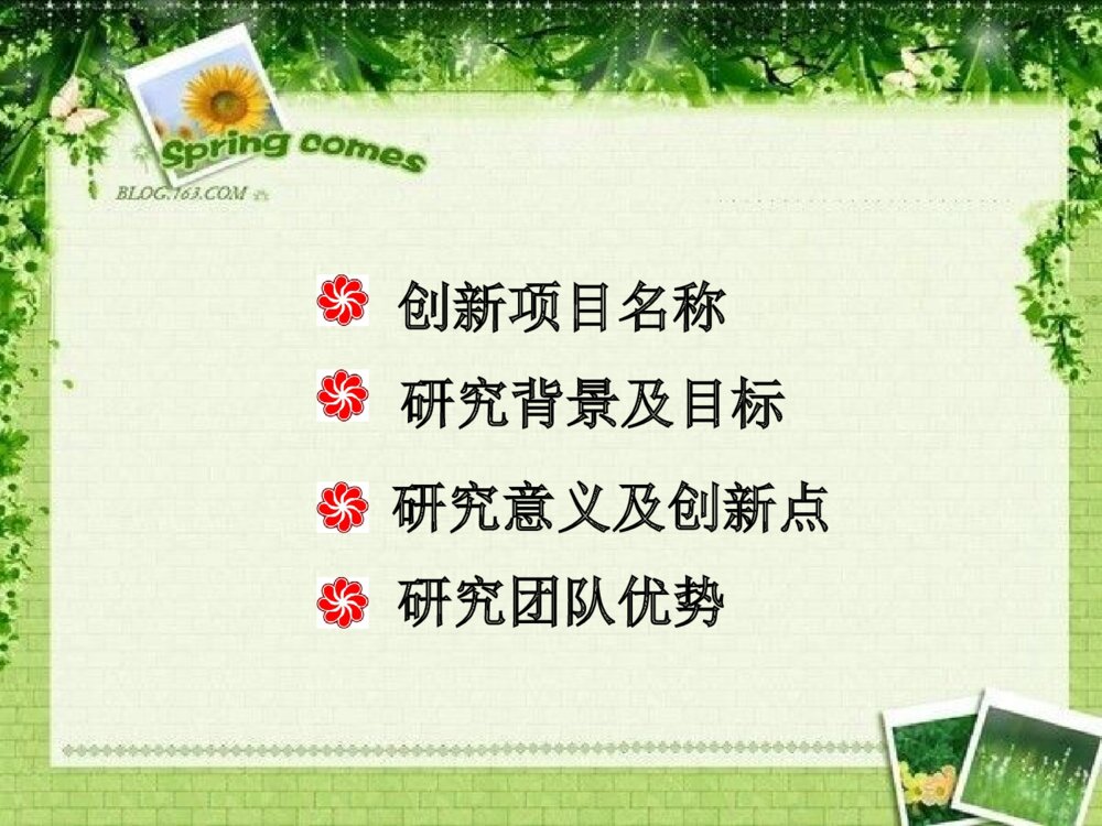 浙江省大学生科技创新项目答辩PPT课件下载4