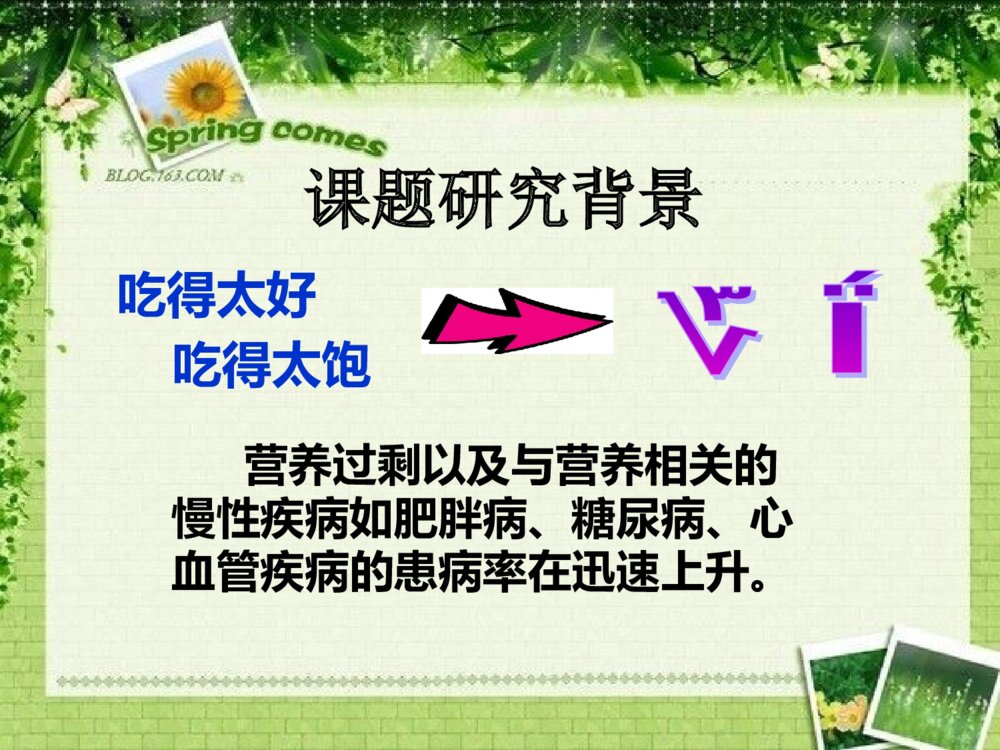 浙江省大学生科技创新项目答辩PPT课件下载5