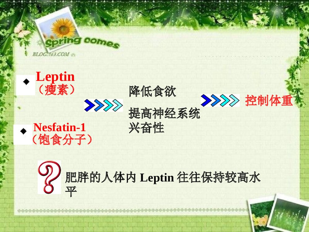 浙江省大学生科技创新项目答辩PPT课件下载6