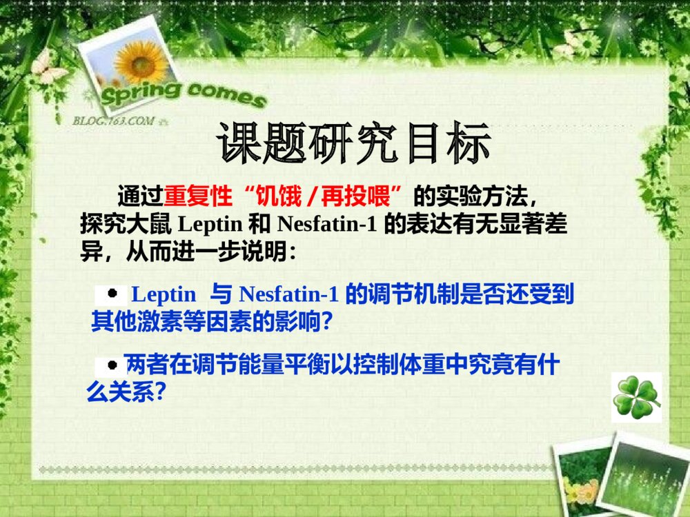 浙江省大学生科技创新项目答辩PPT课件下载7