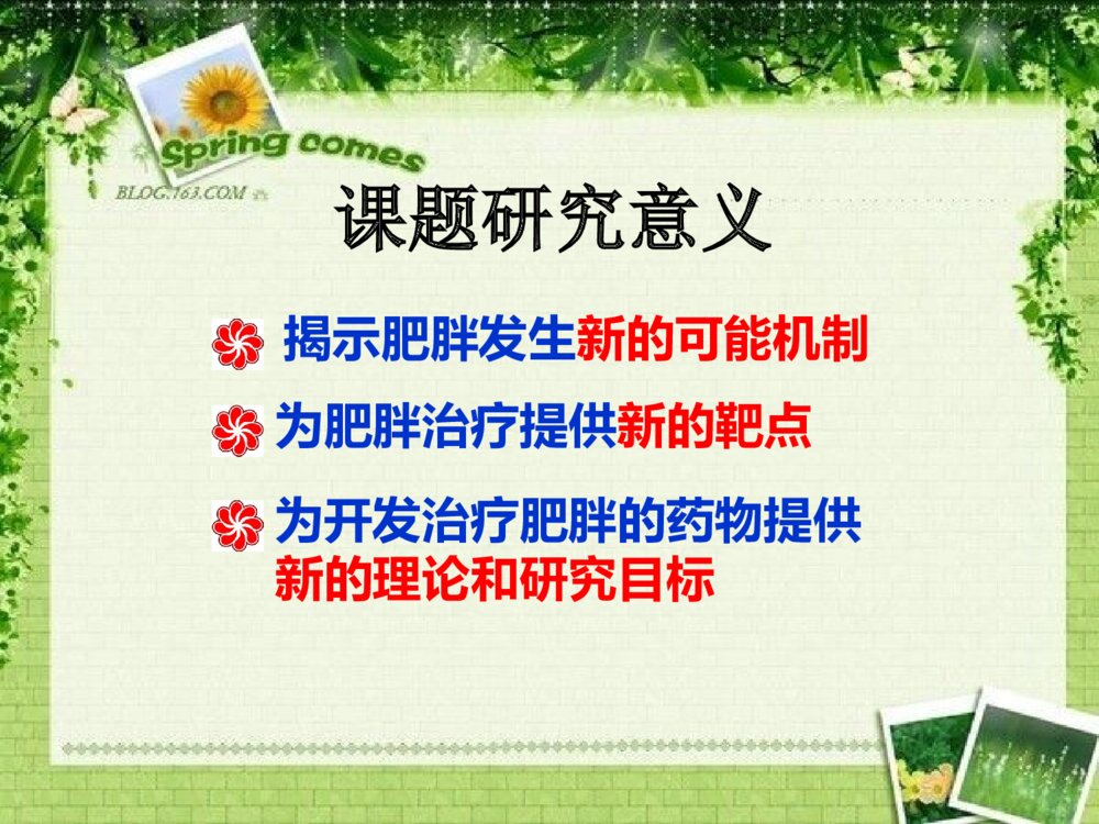 浙江省大学生科技创新项目答辩PPT课件下载8