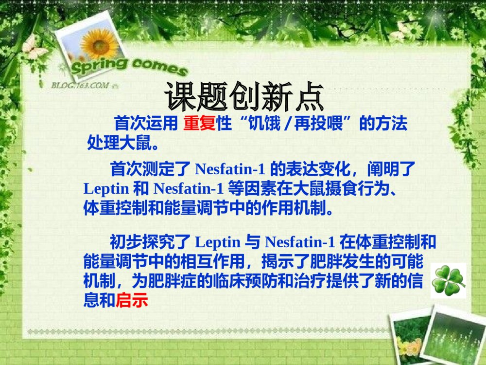 浙江省大学生科技创新项目答辩PPT课件下载9