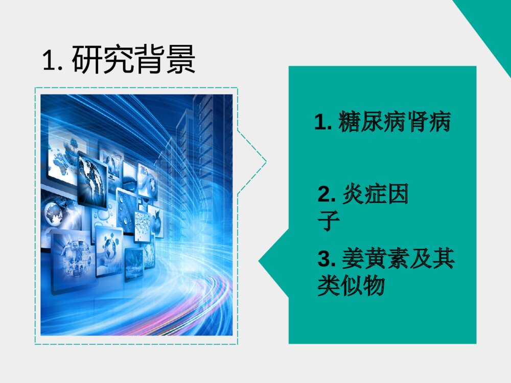 姜黄素类似物H8对糖尿病肾病小鼠的治疗作用_药学答辩ppt下载3