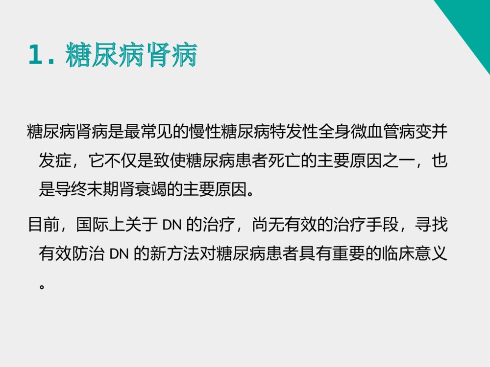 姜黄素类似物H8对糖尿病肾病小鼠的治疗作用_药学答辩ppt下载4