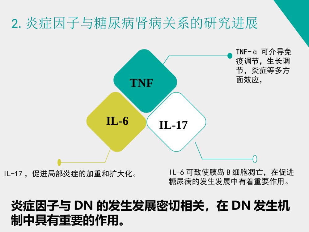 姜黄素类似物H8对糖尿病肾病小鼠的治疗作用_药学答辩ppt下载5