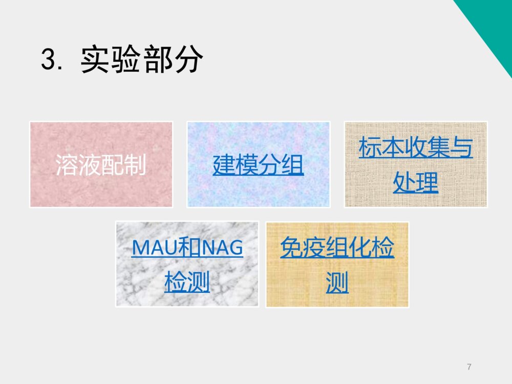 姜黄素类似物H8对糖尿病肾病小鼠的治疗作用_药学答辩ppt下载7