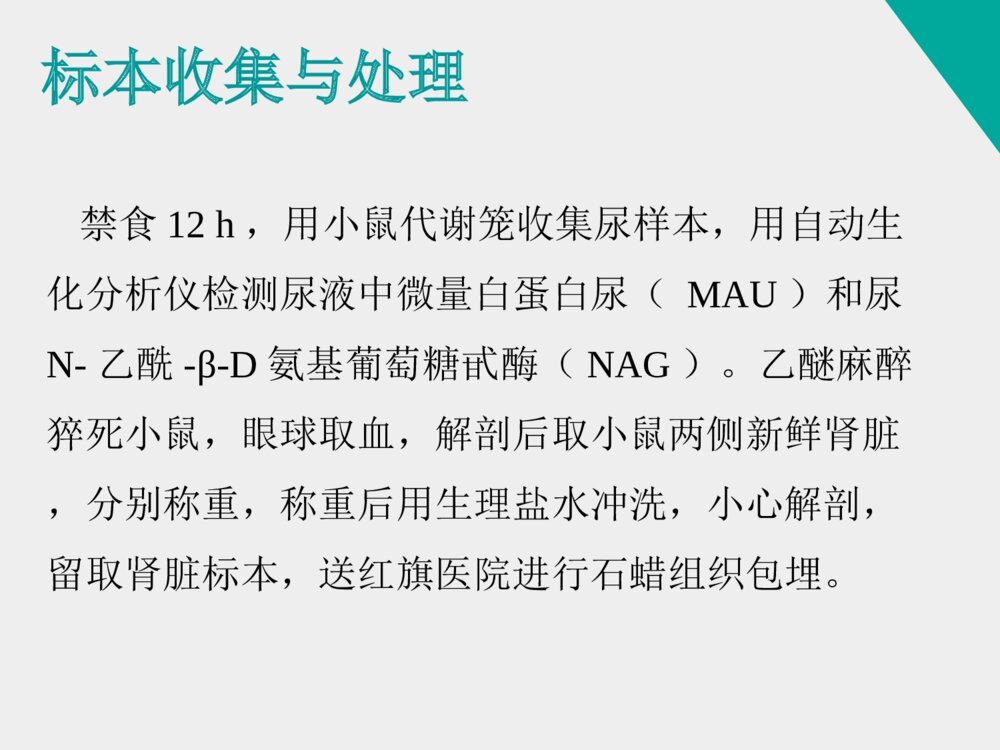 姜黄素类似物H8对糖尿病肾病小鼠的治疗作用_药学答辩ppt下载9