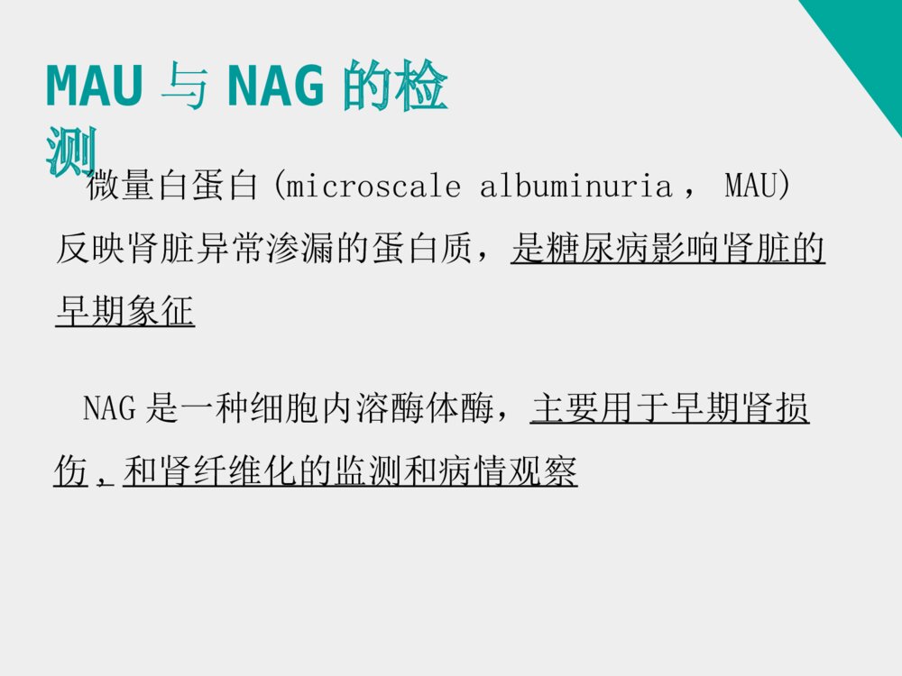 姜黄素类似物H8对糖尿病肾病小鼠的治疗作用_药学答辩ppt下载10
