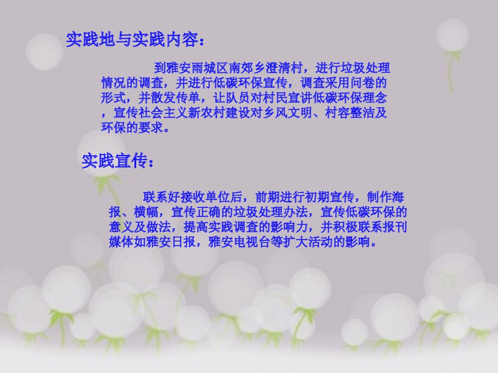暑期社会实践方案设计答辩稿PPT课件下载4