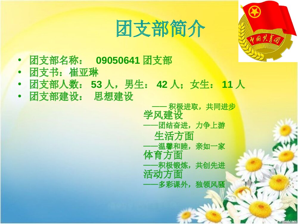 团支部申报答辩PPT课件下载3