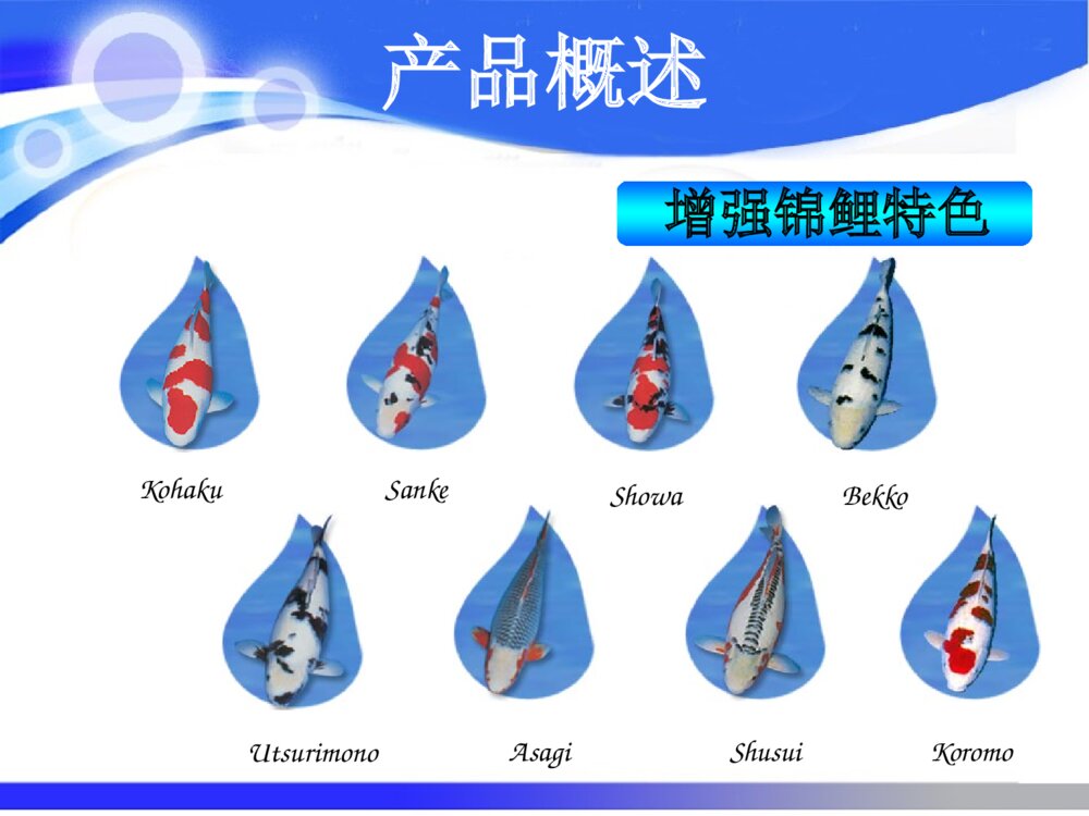 挑战杯创业大赛答辩ppt课件下载9