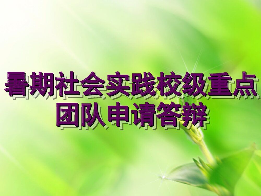 暑期社会实践重点团队申请答辩PPT课件下载1