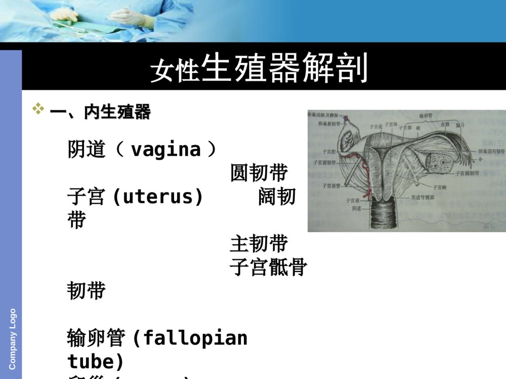 子宫切除护理查房ppt课件下载3