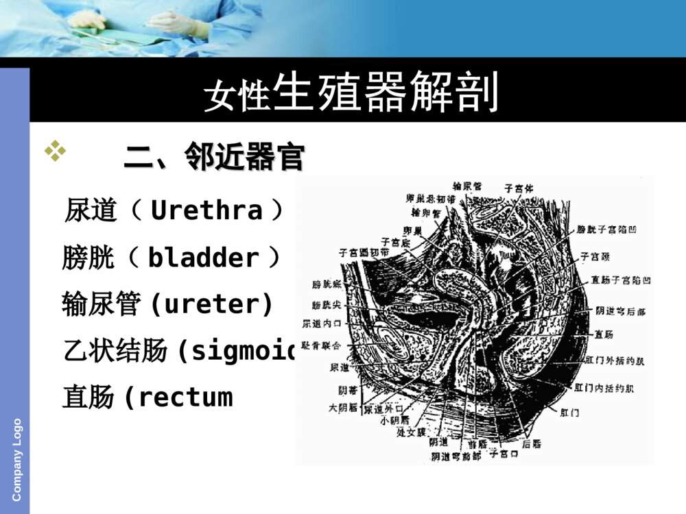 子宫切除护理查房ppt课件下载4