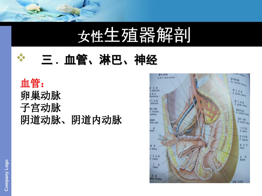 子宫切除护理查房ppt课件下载5