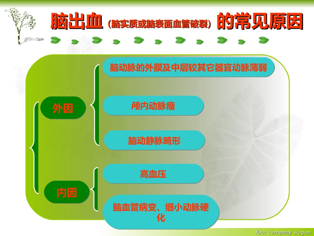神经内科基础知识护理培训ppt课件下载7