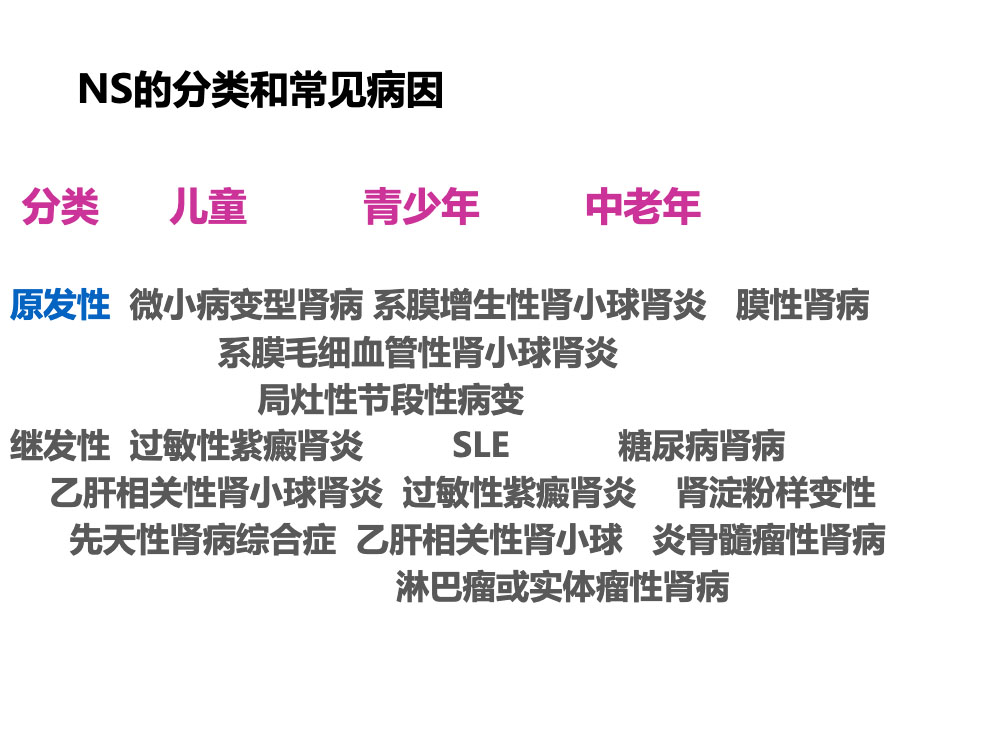 内科护理学肾病综合征病人护理措施ppt课件下载5