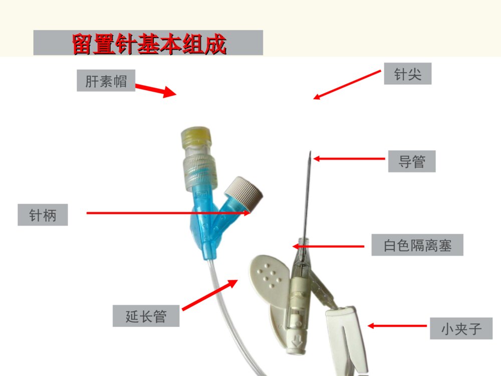 临床静脉留置针的护理查房ppt课件下载5
