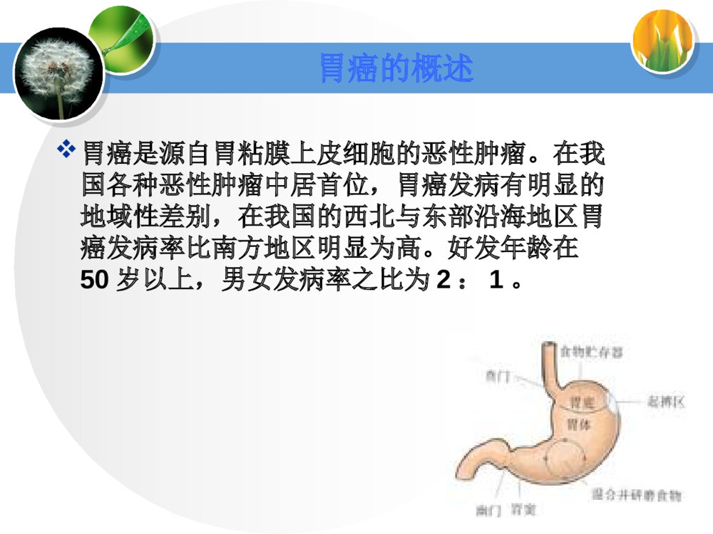 胃癌护理教学教学查房ppt课件下载2