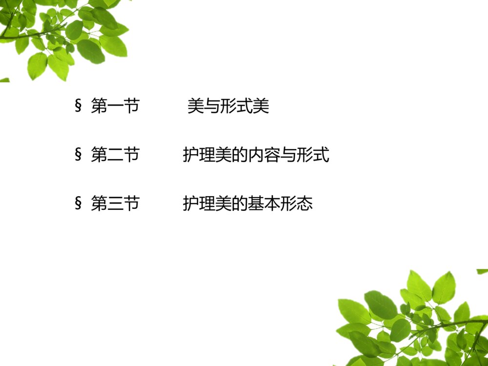 我眼中的护理之美ppt课件下载2