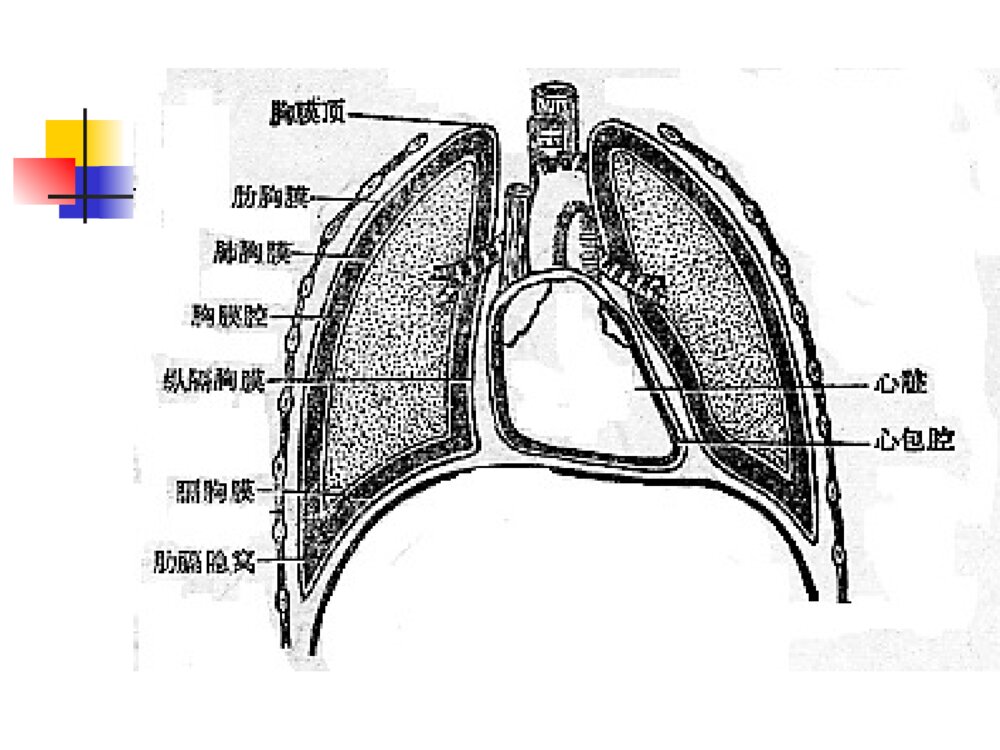 外科护理学全套胸部损伤病人的护理ppt课件下载4