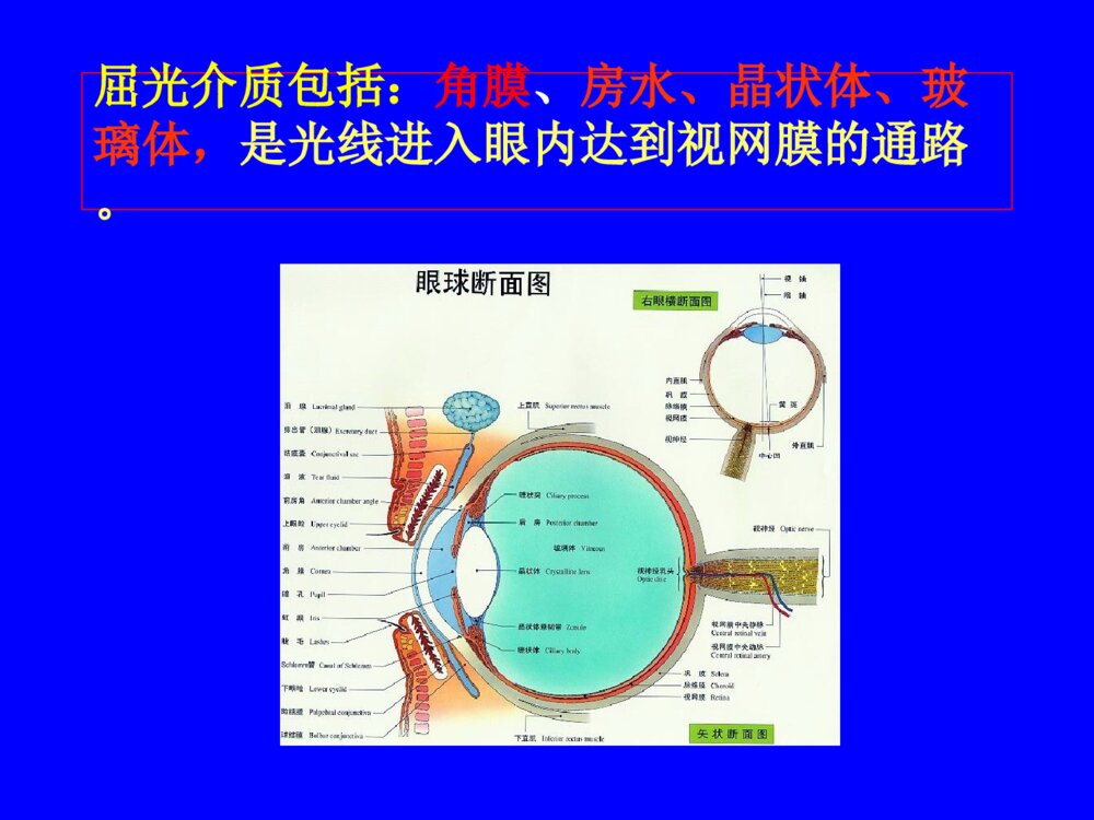 先天性晶状体半脱位患儿的护理查询ppt课件下载5