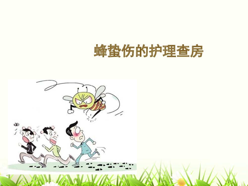 蜂蛰伤的护理查房ppt课件下载1