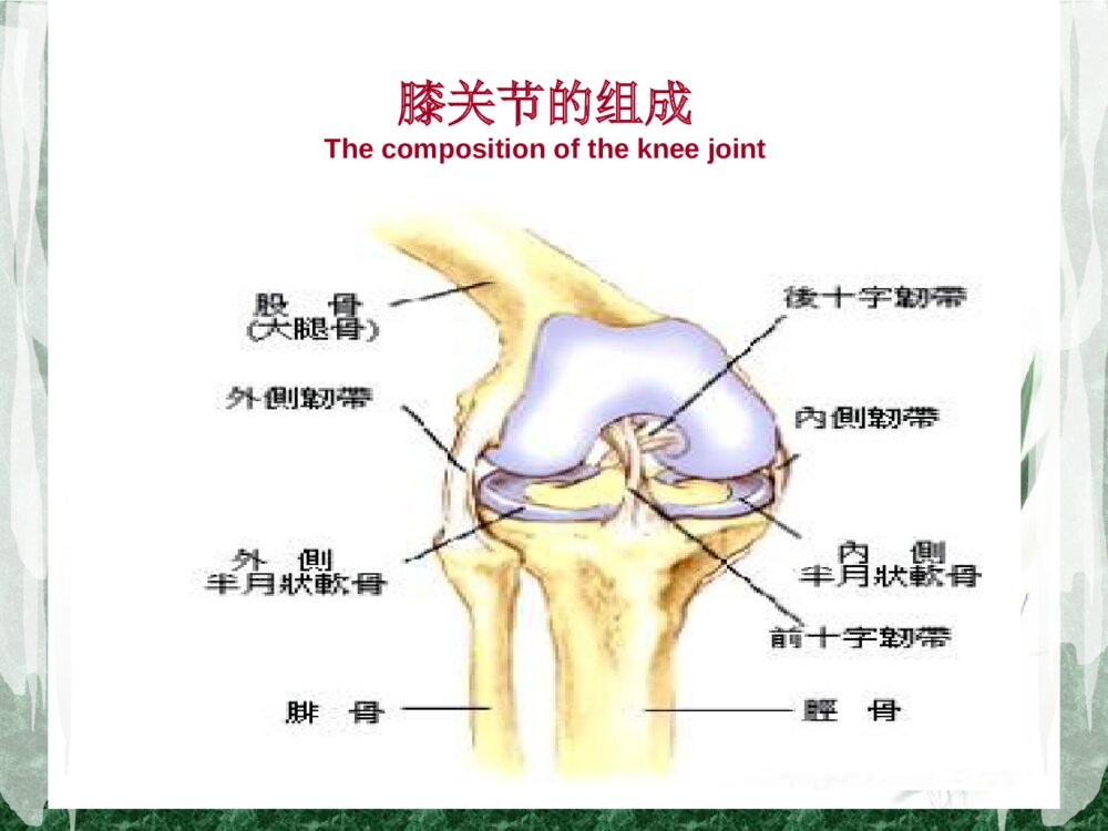全膝关节置换术后护理查房ppt课件2
