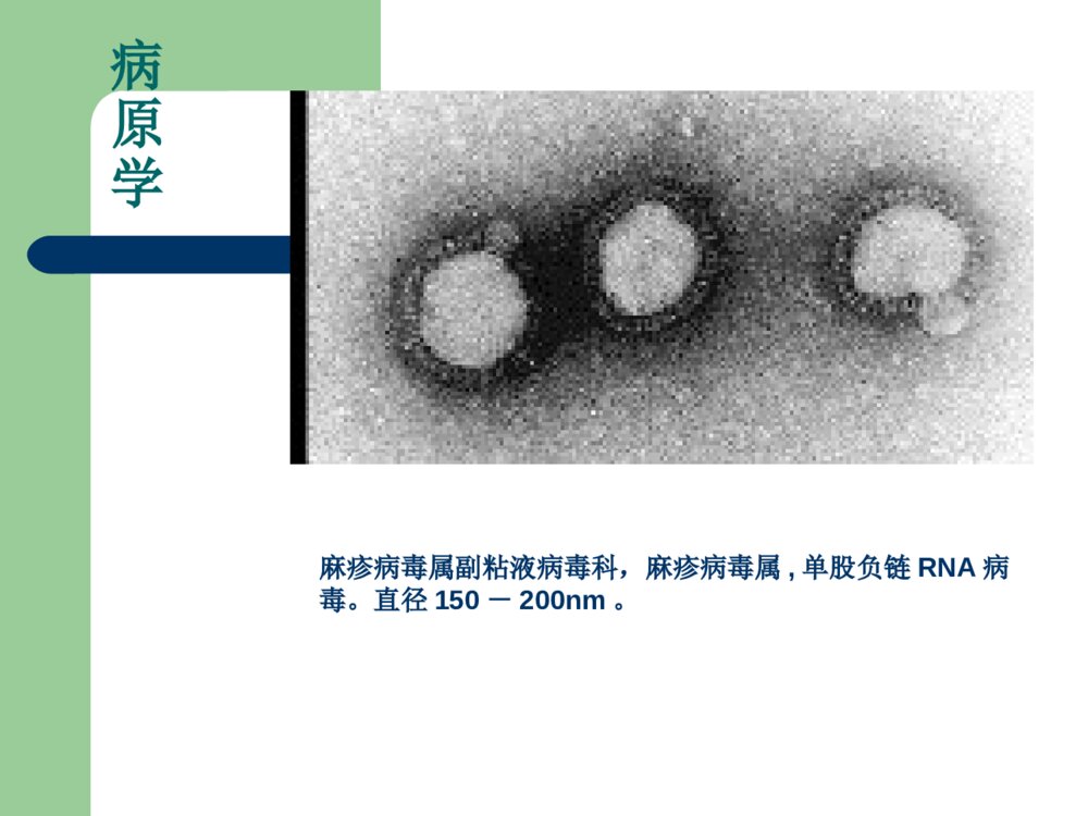 麻疹的护理优质ppt课件下载6
