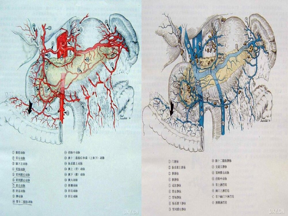 腹部空腔脏器穿孔(破裂)护理ppt课件9