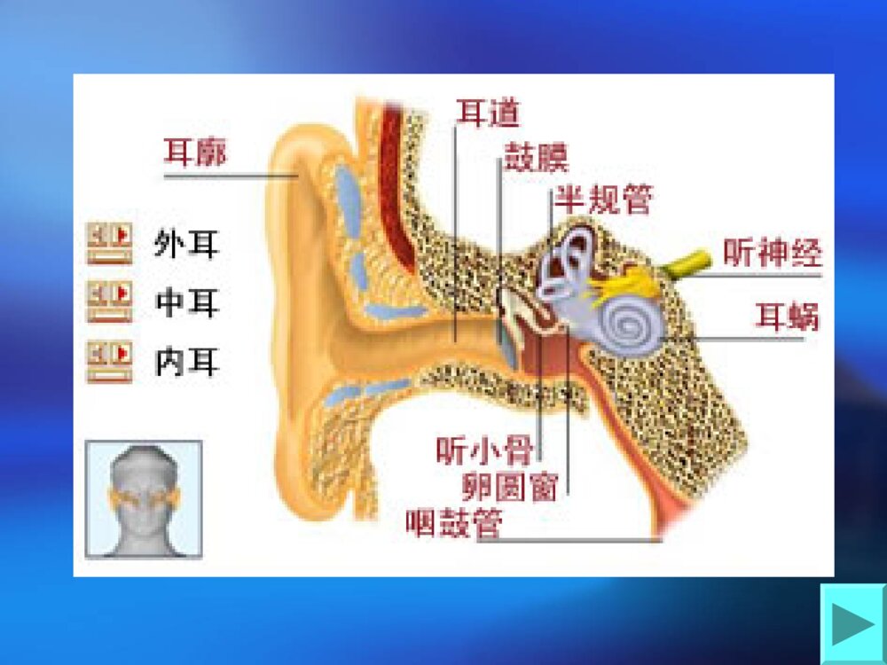慢性化脓性中耳炎护理查房ppt课件下载5