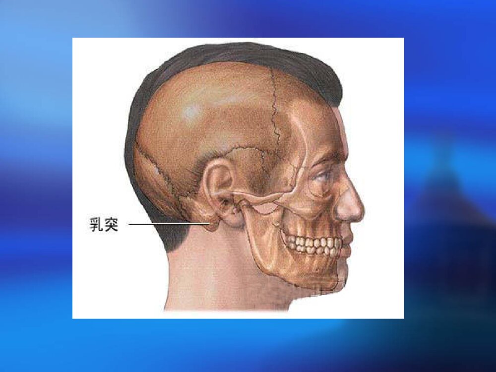 慢性化脓性中耳炎护理查房ppt课件下载10