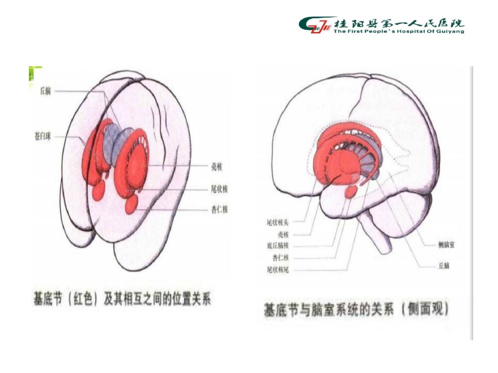 脑出血病人术后的护理查房ppt课件下载4