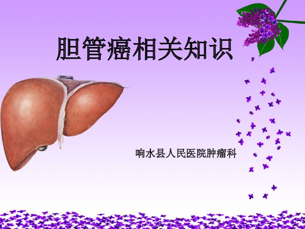 胆管癌相关知识及护理ppt课件下载1