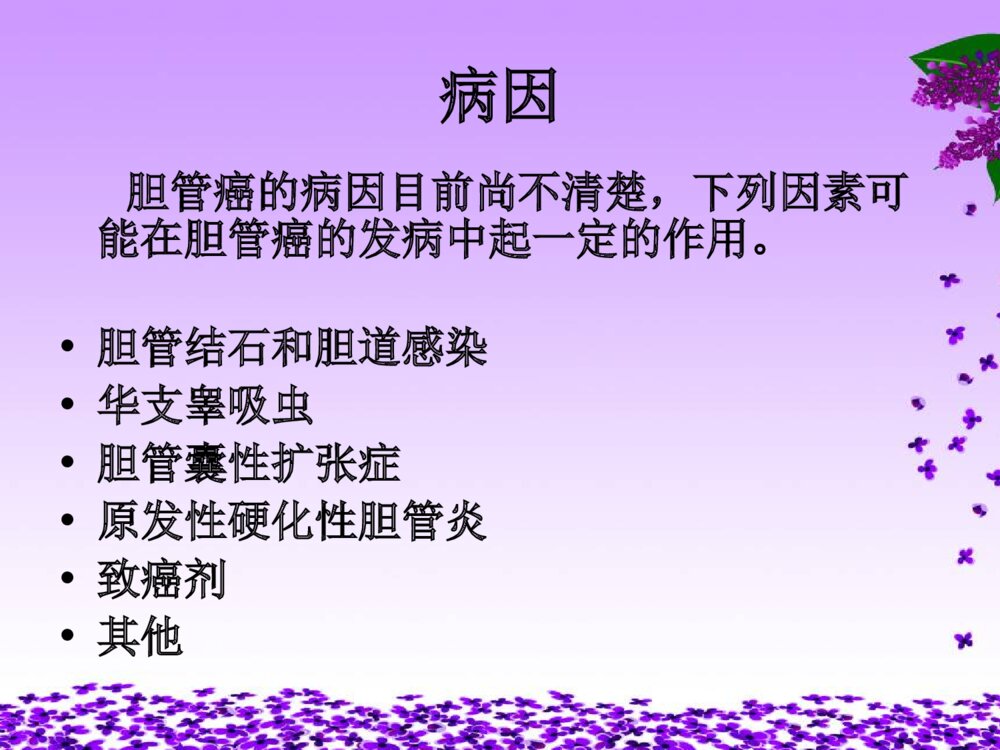 胆管癌相关知识及护理ppt课件下载3