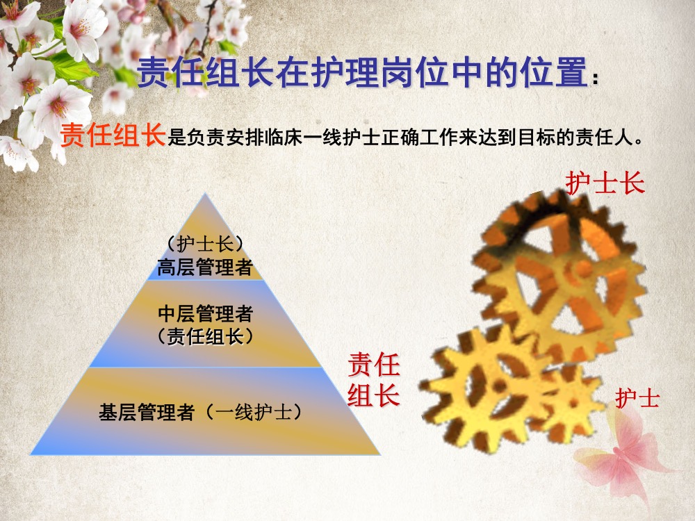如何做好护理责任组长ppt课件下载3
