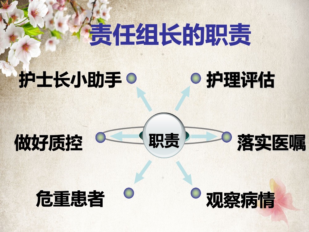 如何做好护理责任组长ppt课件下载4