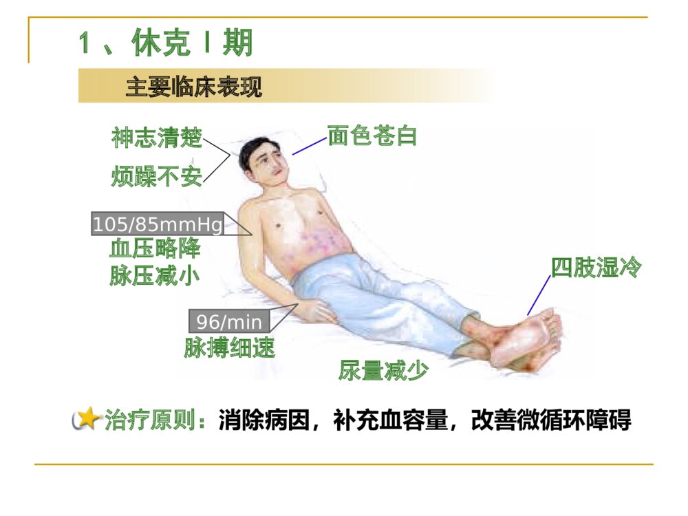 休克的相关知识及护理ppt课件下载10