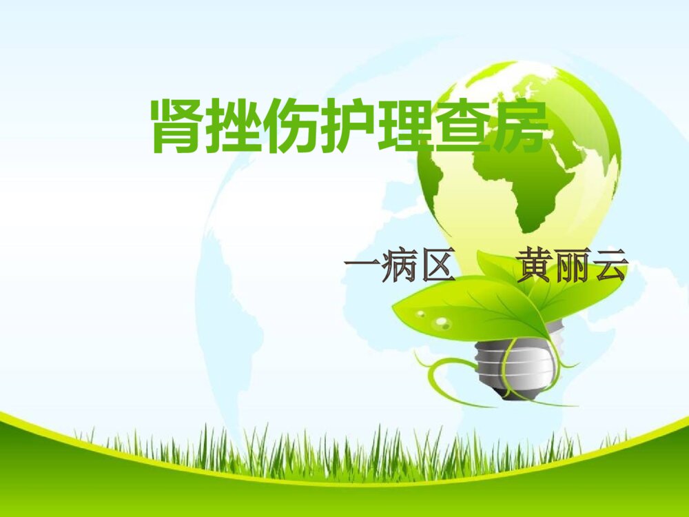肾挫伤护理查房ppt课件1