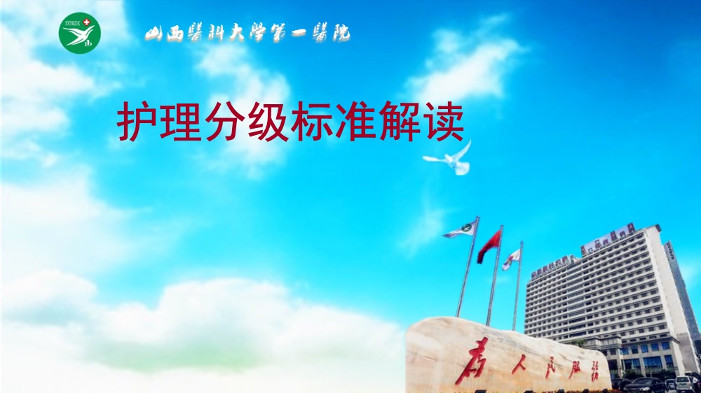 护理分级标准解读ppt课件下载1